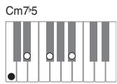 CASIO PX-320 - Important - 9