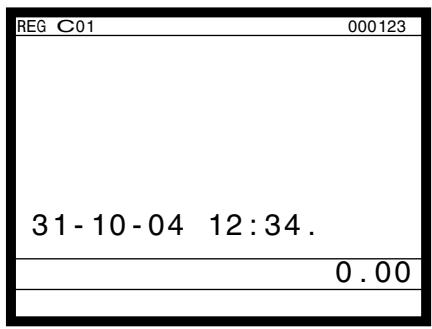 CASIO QT-6000 - DISPLAY - 1