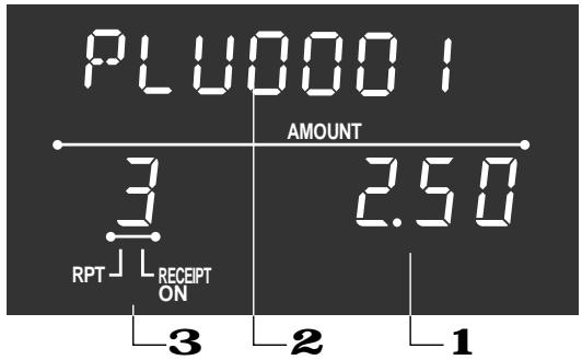 CASIO TK-T200 - Ecrans - 3