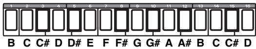 1 2 3 4 5 6 7 8 9 10 11 12 13 14 15 16 B C C# D D# E F F# G G# A A# B C C# D