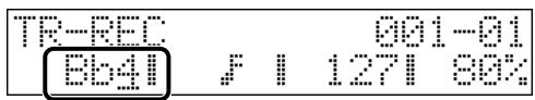 TR-REC 001-01 BB4 1271 80%