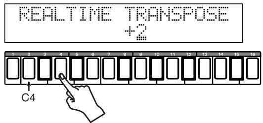 REALTIME TRANSPOSE +2 C4