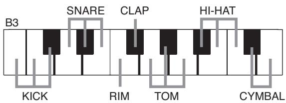 B3 SNARE CLAP HI-HAT KICK RIM TOM CYMBAL