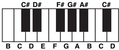 C# D# F# G# A# C# B C D E F G A B C D