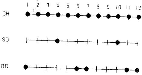 ROLAND DR-220A - 2) Ecriture d'un triolet - 2