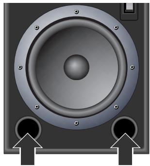 ROLAND DS-5 - Précautions supplémentaires - 1