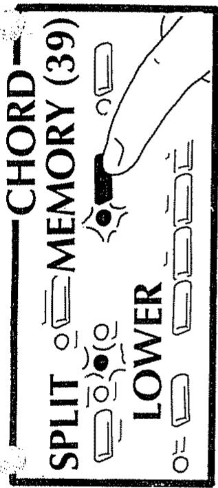 ROLAND E-40 OR - Chord Intelligence - 1
