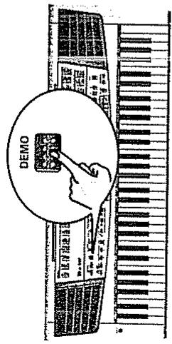 ROLAND EM-25 - Bouton Fonction - 1