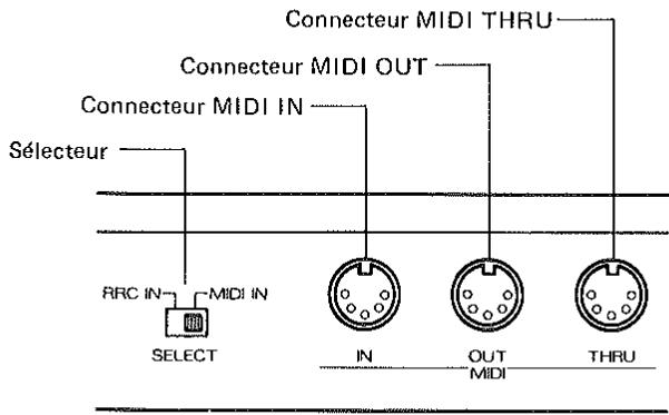 ROLAND GP-8 - 1.CONNECTIONS MIDE - 1
