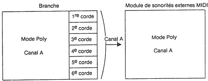 ROLAND GR-50 - 2) Branches - 1