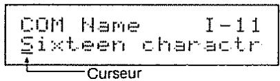 COM Name I-11 Sixteen characr Curseur