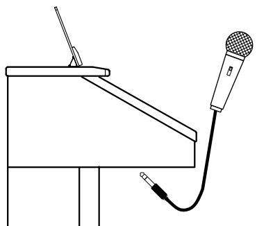 ROLAND AT80SL - Utilisation d'un micro micro - 1