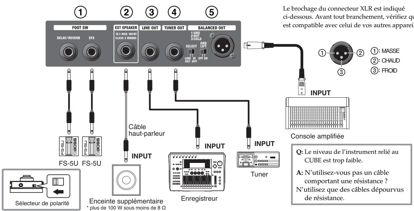 ROLAND CUBE-100 BASS - Témoin de mise sous tension - 1