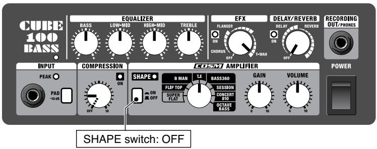 ROLAND CUBE-100 BASS - SMOOTH JAZZ (FLIP TOP) - 2