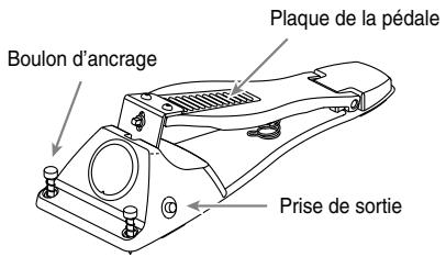 ROLAND CY- - Contenu de l'emballage - 1