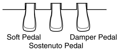 ROLAND HP-101E - About the Pedals - 1
