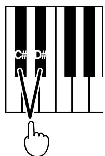 ROLAND HP-101E - Halten Sie den [Reverb/Key Touch]-Taster gedrückt, während Sie die "C#" - oder "D#" - Taste betätigen. - 2