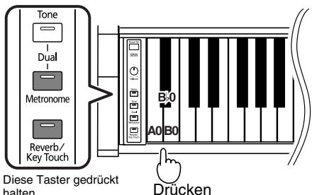ROLAND HP-101E - Direktanwahl der Frequenz '442.0Hz' - 2