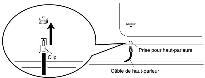ROLAND HP-107E - Connexion du câble de haut-parleur - 1