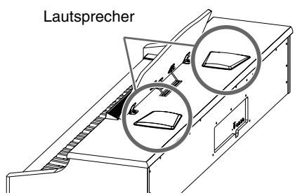 ROLAND HP-107E - Anschließen des Lautsprecherkabels - 2