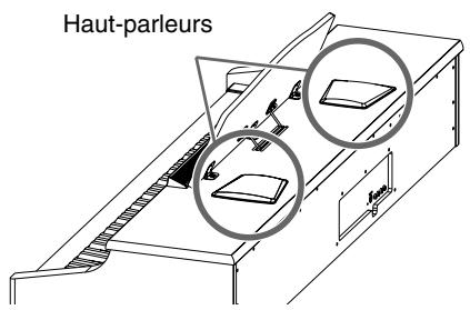 ROLAND HP-107E - Connexion du câble de haut-parleur - 2