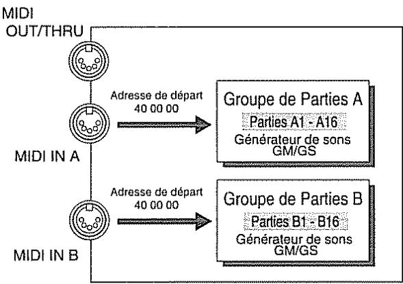 ROLAND M-GS64 - Réception de données exclusives - 1