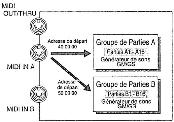 ROLAND M-GS64 - Réception de données exclusives - 2