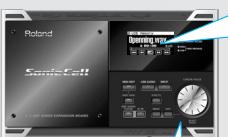 ROLAND SONICCEL - Activez la lecture de ce morceau - 1