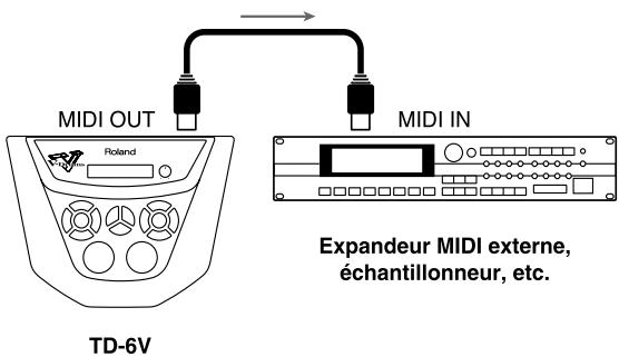 MIDI OUT Poland TD-6V MIDI IN Expandeur MIDI externe, échantillonneur, etc.