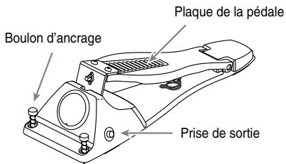 Boulon d'ancrage Plaque de la pédale Prise de sortie