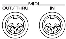 MIDI OUT/THRU IN
