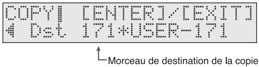 COPYI [ENTER]/[EXIT] 4 Dst 171*USER-171 Morceau de destination de la copie