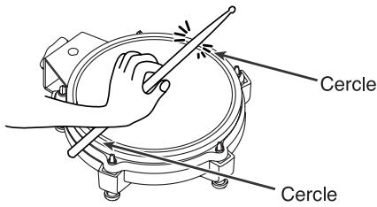 Cercle Cercle