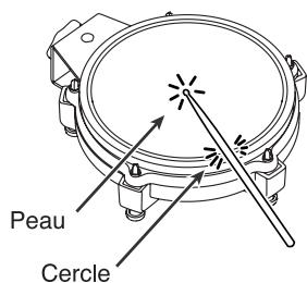Peau Cercle