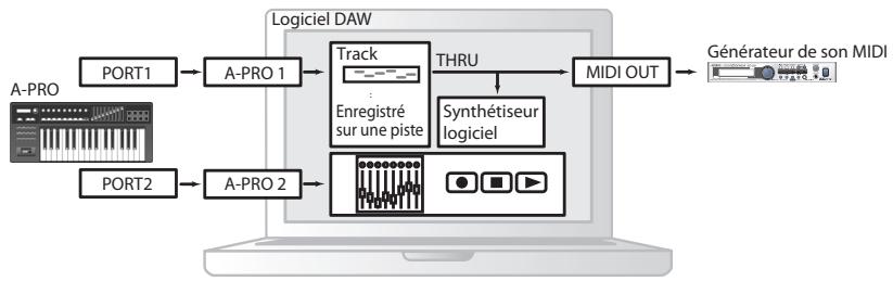 ROLAND CAKEWALK A-300PRO - Deux ports MIDI - 3
