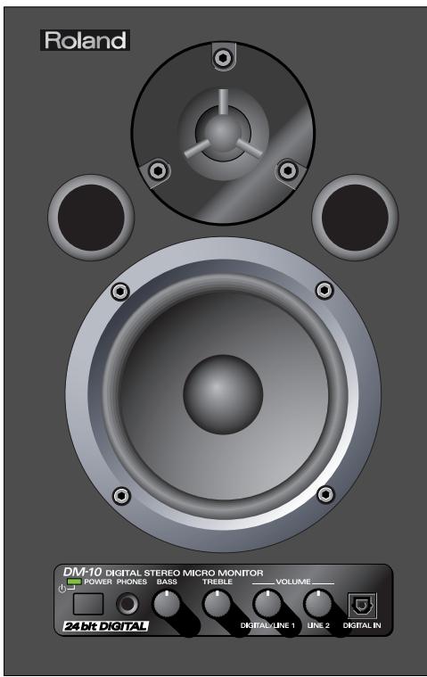 Roland DM-10 DIGITAL STEREO MICRO MONITOR POWER PHONES BASS TREELE VOLUME 24bit DIGITAL DIGITAL/LINE 1 LINE 2 DIGITAL IN