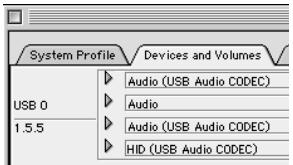 System Profile Devices and Volumes USB 0 1.5.5 Audio (USB Audio CODEC) Audio Audio (USB Audio CODEC) HID (USB Audio CODEC)