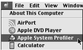 File Edit View Window About This Computer AirPort Apple DVD Player Apple System Profiler Calculator