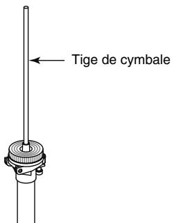 ROLAND V-STAGE TD-12KX - Vérifiez que la tige de cymbale est solidement ancrée. - 1