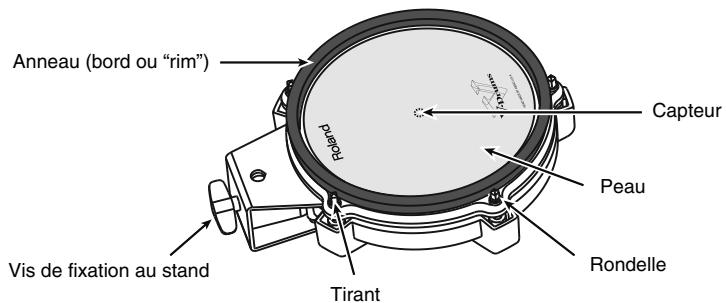 ROLAND V-STAGE TD-12KX - Contenu de l'emballage - 1