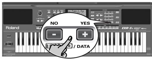 NO YES Roland EXR-5 / DATA