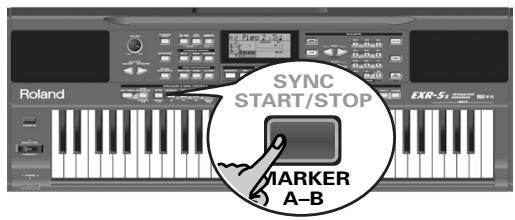 SYNC START/STOP MARKER A-B