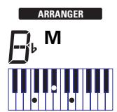 ROLAND EXR-3S - Starting/using the Arranger - 2