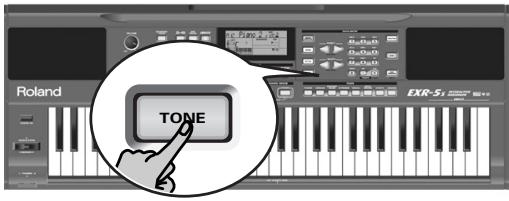 TONE Roland EXR-5