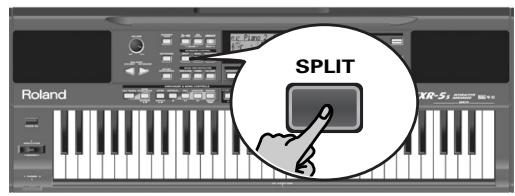 SPLIT Roland XR-51