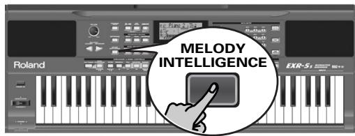 MELODY INTELLIGENCE Roland EXR-51