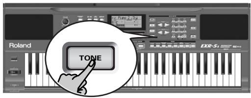 TONE Roland EXR-5s