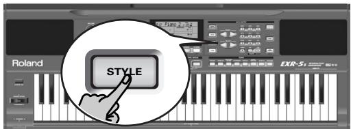 STYLE Roland EXR-51
