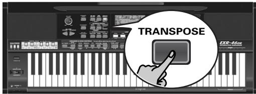 ROLAND EXR-46OR - Transpose - 1