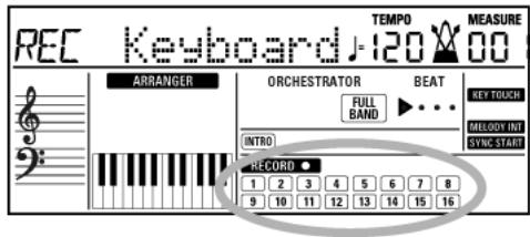 ROLAND EXR-46OR - Sustain - 5